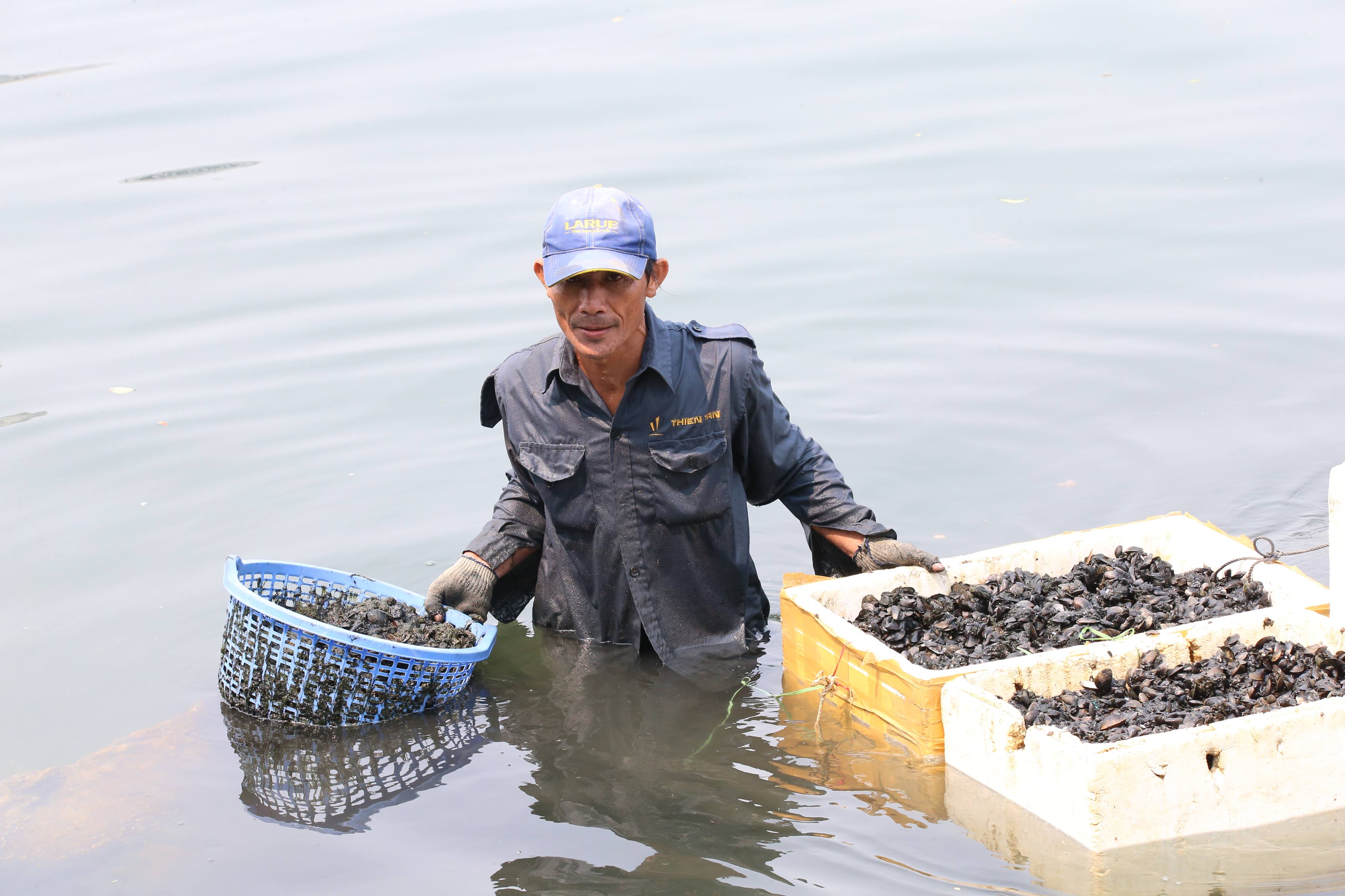 Săn lộc trời ở đáy sông